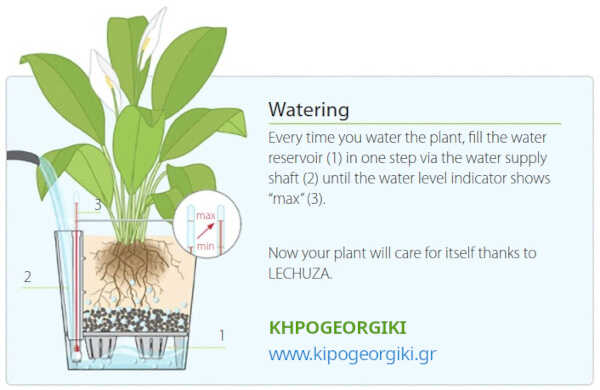 Regular Self-Watering